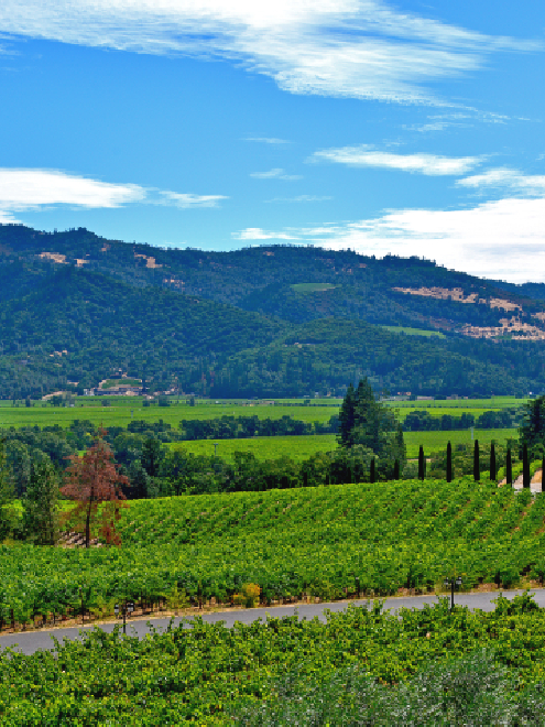 DISCOVER ALL OF THE EXCITING ATTRACTIONS NEAR OUR NAPA HOTEL