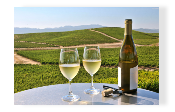 PERFECT FOR YOUR WINE TASTING VACATION TO NAPA VALLEY