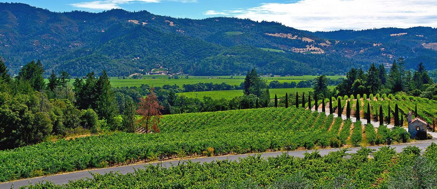 Discover All Of The Exciting Attractions Near Our Napa Hotel